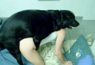 Perverted female screwed by her own dog
