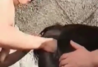 Anal sex with a zoophile and her animal