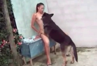Shepherd adores dirty dog bestiality