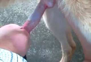 Zoo slut gives her dog a good blowjob