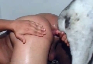 Ass to ass bestiality sex with trained animal