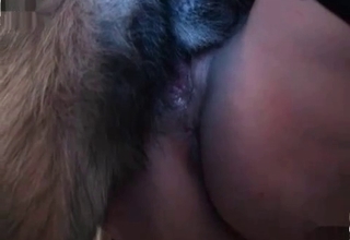 Sexy bitch gets pleasured by doggy
