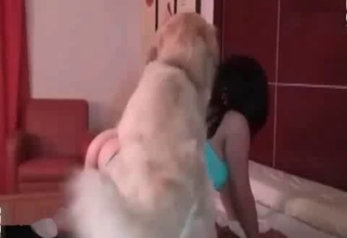 Librarian enjoys hardcore dog zoophilia