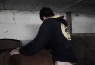 Nasty animal drilled by male zoophile