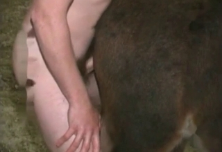 Barn bestiality action with a sexy animal