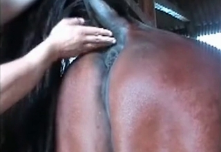 Farmer gives a good rimjob for a trained beast