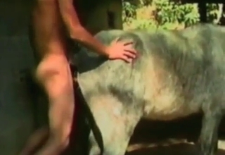 Hardcore sex with a horse and a zoophile