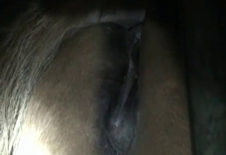 Nasty farm bestiality in the night