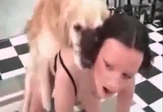 Fast sex with a hairy doggy and a female