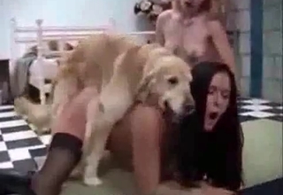 Fast sex with a hairy doggy and a female