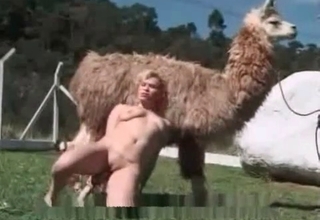 Southern cutie in the farm animality