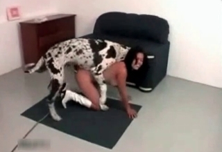 Sexy babe gets banged by her cur
