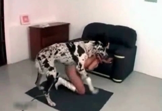 Sexy babe gets banged by her cur