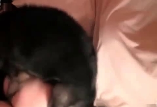 Cur licks a sexy cutie