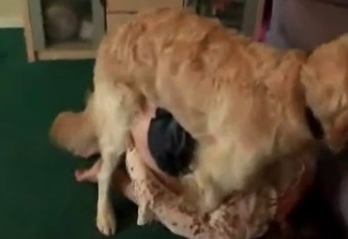 Snatch licked and sucked by dog