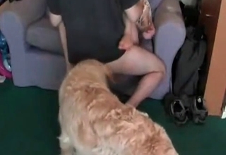 Snatch licked and sucked by dog