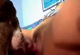 Doggy style bestiality sex with my dog