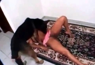 Doggy gives a nice cunnilingus for my wife