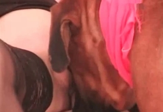 Colt hardly drilled a tight juicy twat