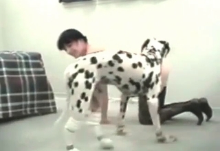 Dalmatian enjoys hardcore bestiality sex