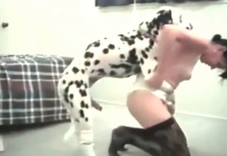 Dalmatian enjoys hardcore bestiality sex