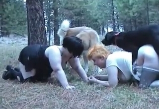 Crazy fat zoophiles have sex with their dogs