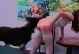 Tight hole hardly drilled by trained dog
