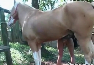 Giant horse cock for a small wet crack