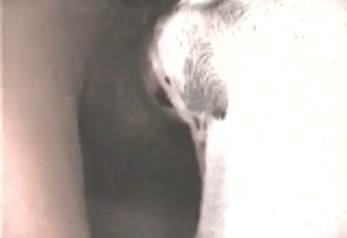 Stunning animal sex shot in close up angle