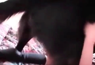 Bedroom bestiality porn with a really hardcore dog