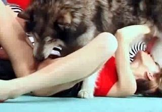 Sexy dog enjoys nasty oral animality XXX