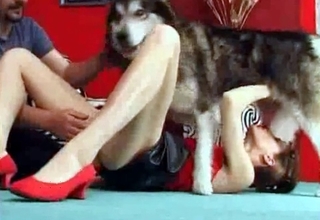 Sexy dog enjoys nasty oral animality XXX