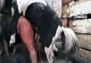 Pony in the awesome amateur bestiality
