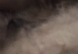 Moustache man eating his dog's pussy