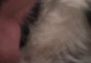 Moustache man eating his dog's pussy