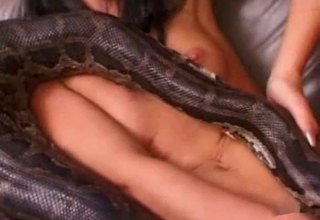 Hottie fucks her pussy with toys (and snakes)