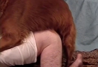 Hairy legs dude dominated by a dog