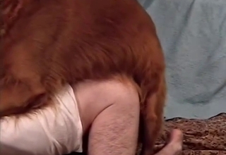 Hairy legs dude dominated by a dog