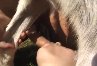 Kinky couple and a goat, fucking outdoors