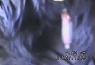 Twisted handjob for a horny horse