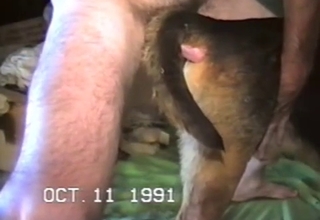 Hot guy maiming his dog's tight pussy