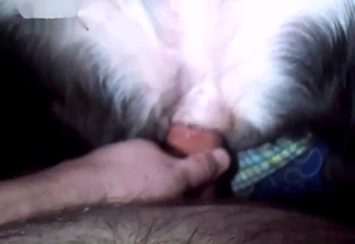 Dripping animal cunt gets gaped here
