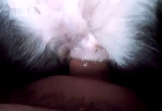 Dripping animal cunt gets gaped here