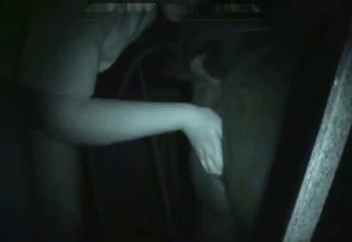 Guy fist-fucking horse pussies at night