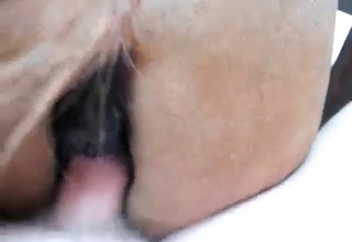 Dude fucking that horse's pussy