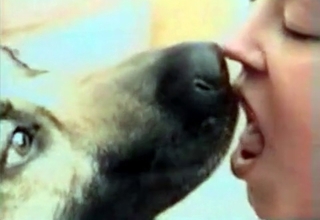 Chubby MILF blows a fucking dog