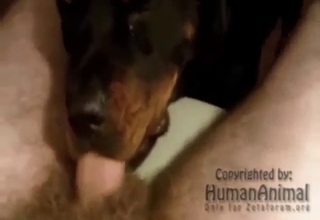 Crazy hot zoo porn with an animal SUCKING