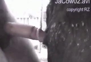Guy gets to enjoy a hard, crazy fuck with a cow