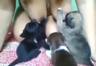 Big sagging breasts worshipped by puppies