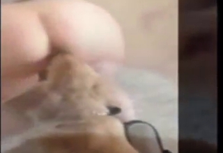 Round ass zoophile is getting licked by dog